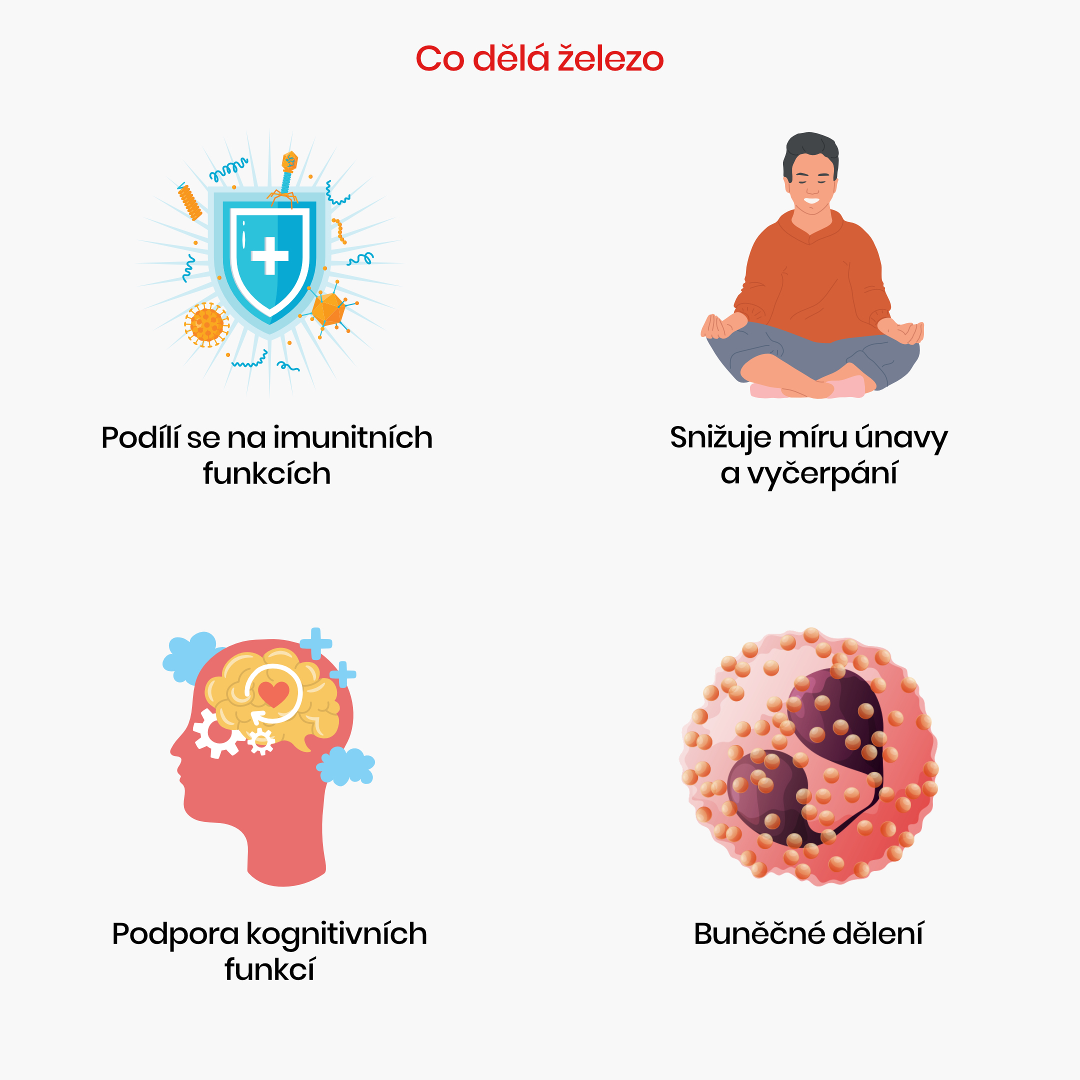 co dělá železo_Infografika_cz